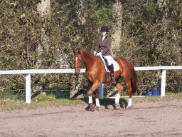 IMG_7765_web